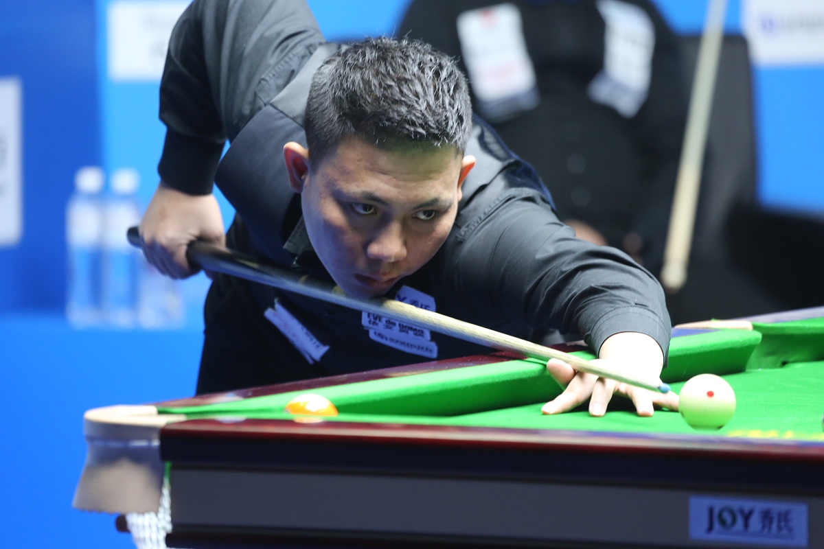 他们独特的 他们独特的