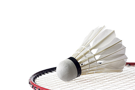 后的故事 后的故事